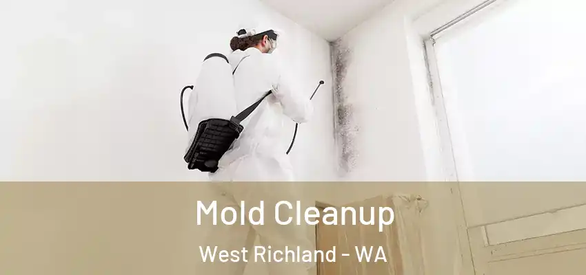  Mold Cleanup West Richland - WA