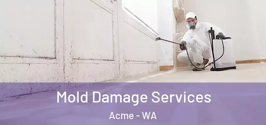  Mold Damage Services Acme - WA