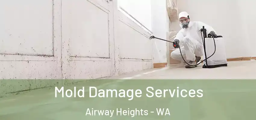  Mold Damage Services Airway Heights - WA