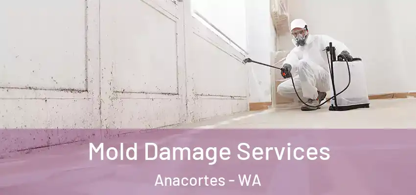  Mold Damage Services Anacortes - WA