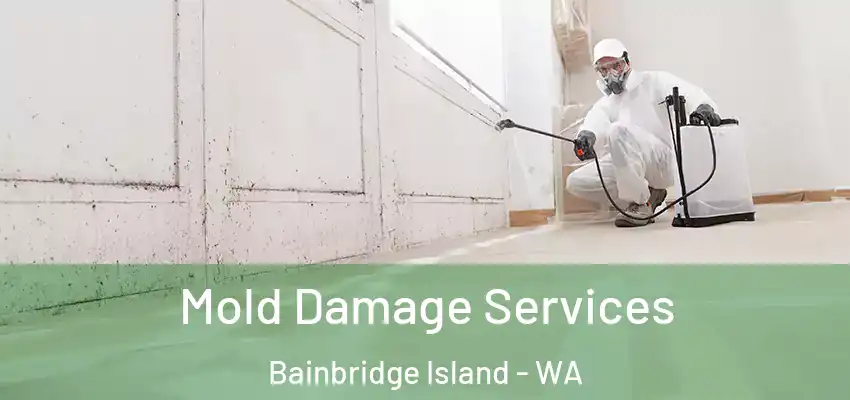 Mold Damage Services Bainbridge Island - WA