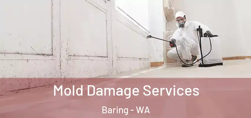  Mold Damage Services Baring - WA