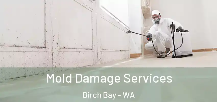  Mold Damage Services Birch Bay - WA
