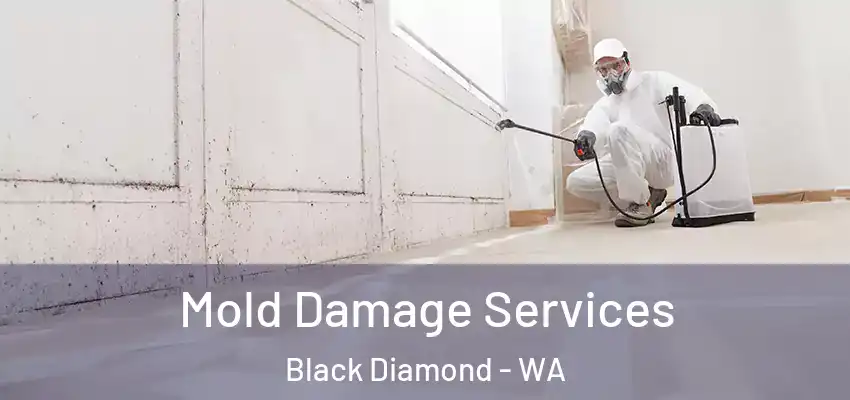  Mold Damage Services Black Diamond - WA