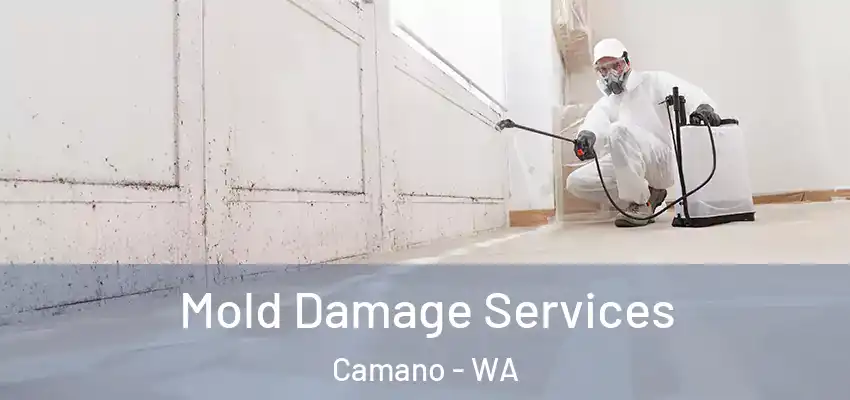  Mold Damage Services Camano - WA