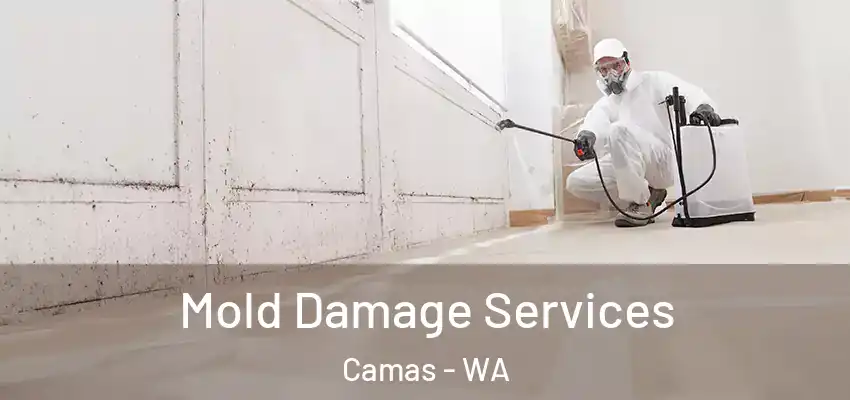  Mold Damage Services Camas - WA