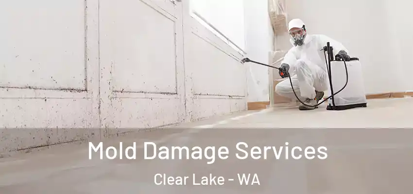  Mold Damage Services Clear Lake - WA