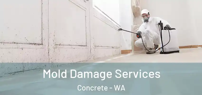  Mold Damage Services Concrete - WA
