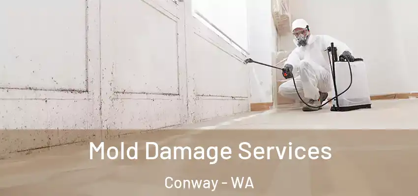  Mold Damage Services Conway - WA