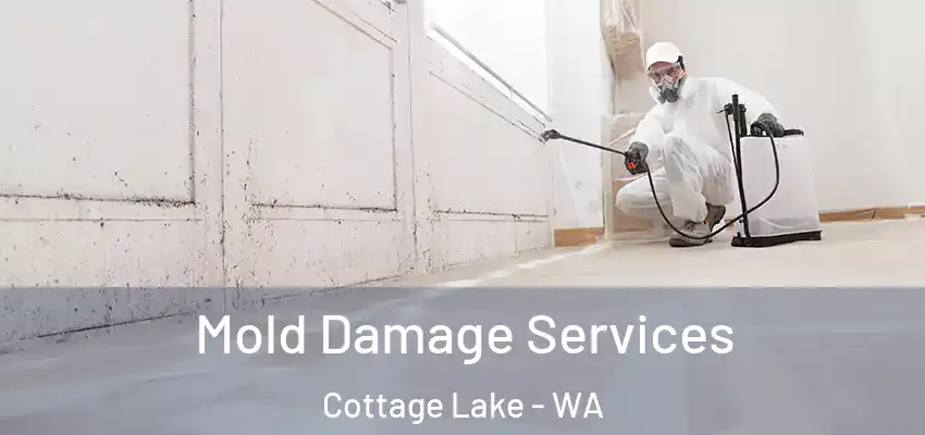  Mold Damage Services Cottage Lake - WA
