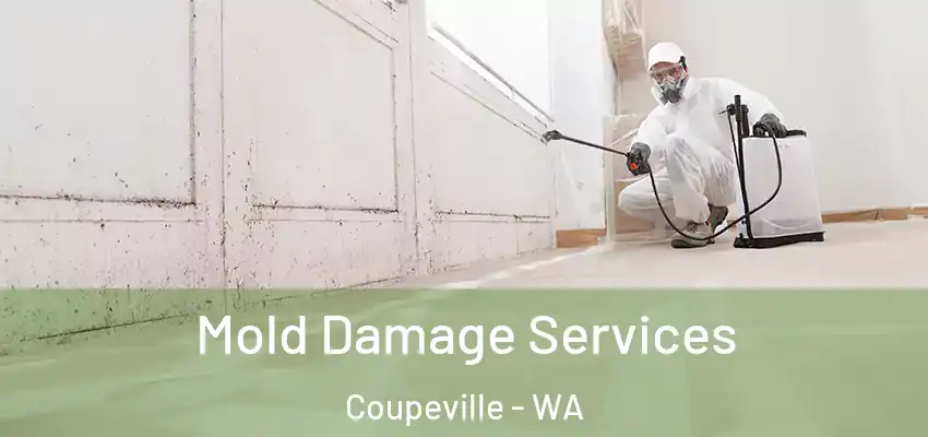  Mold Damage Services Coupeville - WA