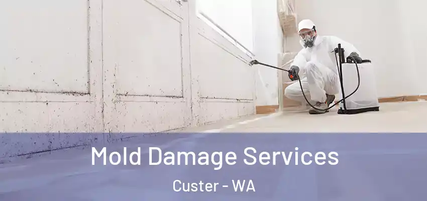 Mold Damage Services Custer - WA