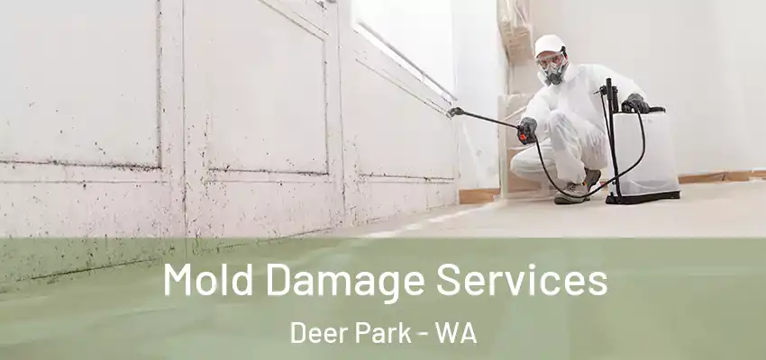  Mold Damage Services Deer Park - WA
