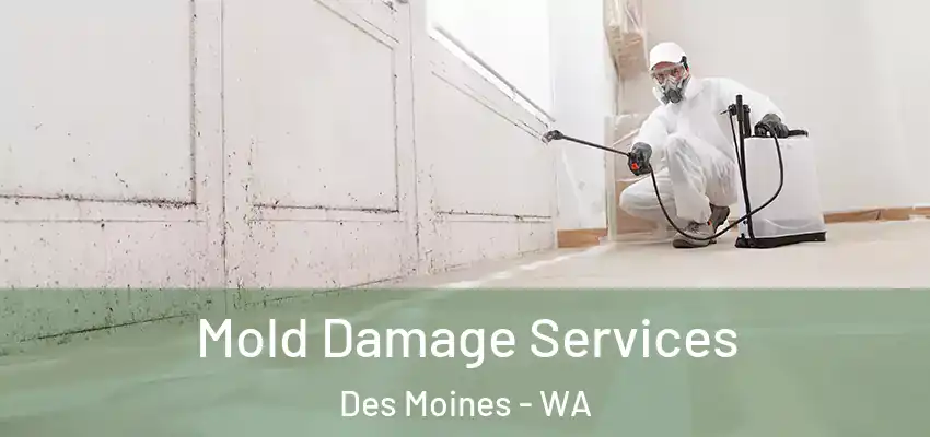  Mold Damage Services Des Moines - WA