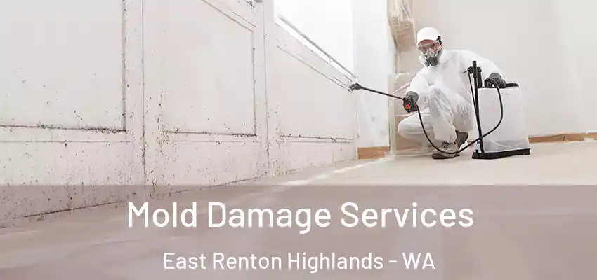  Mold Damage Services East Renton Highlands - WA