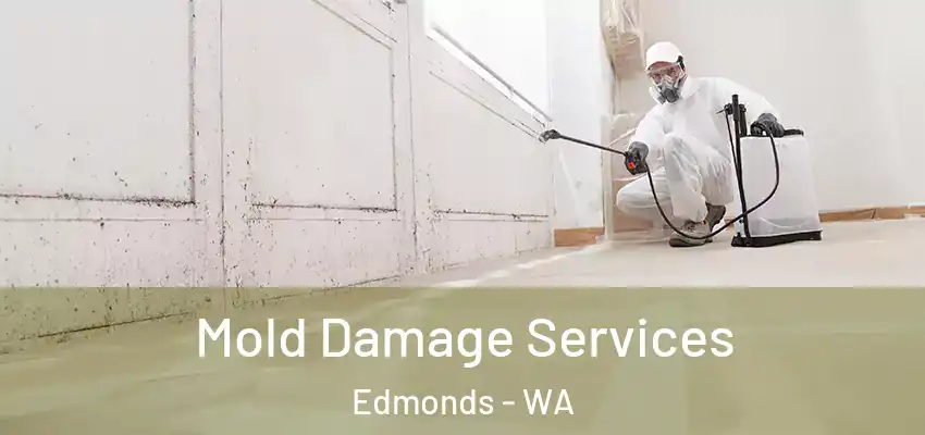  Mold Damage Services Edmonds - WA