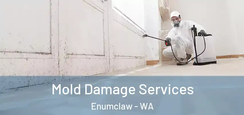  Mold Damage Services Enumclaw - WA