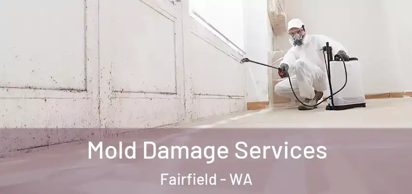  Mold Damage Services Fairfield - WA