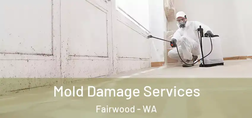  Mold Damage Services Fairwood - WA