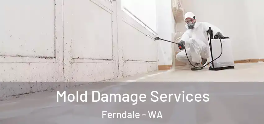  Mold Damage Services Ferndale - WA