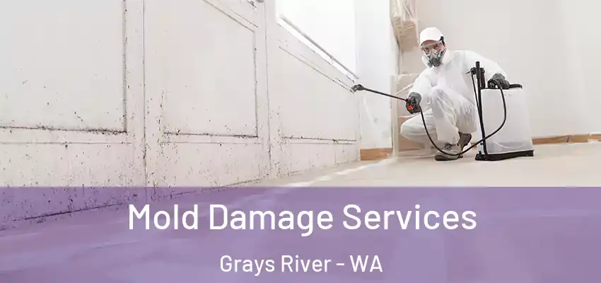 Mold Damage Services Grays River - WA