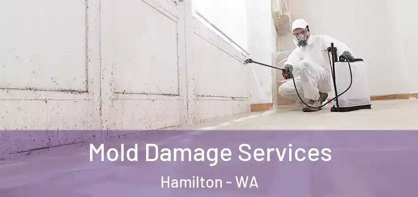  Mold Damage Services Hamilton - WA