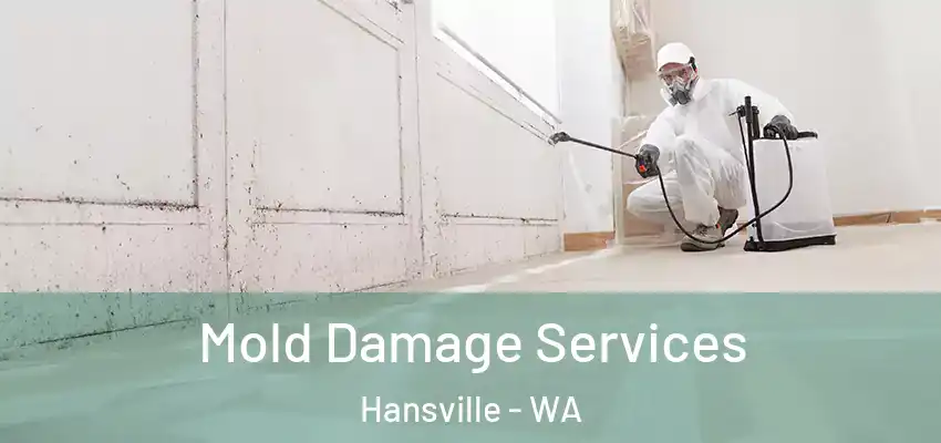  Mold Damage Services Hansville - WA