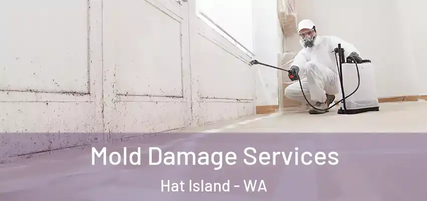 Mold Damage Services Hat Island - WA