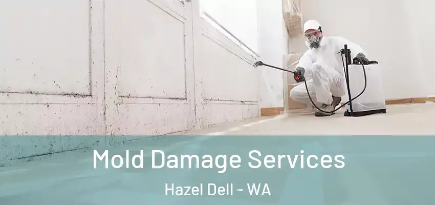  Mold Damage Services Hazel Dell - WA