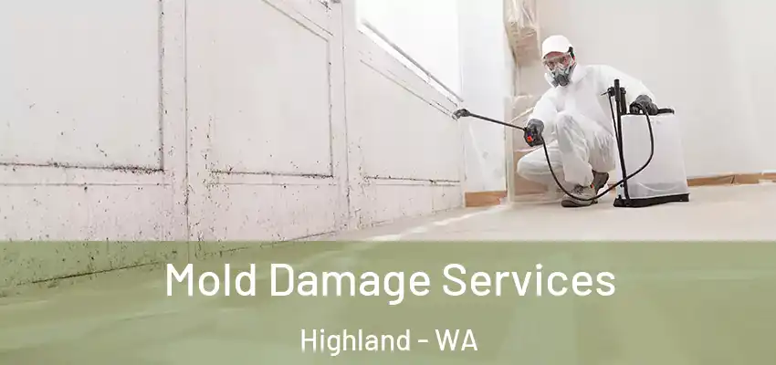  Mold Damage Services Highland - WA
