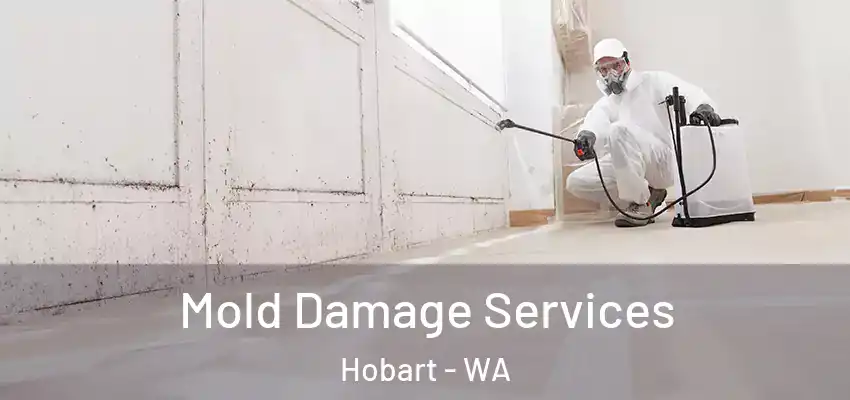  Mold Damage Services Hobart - WA