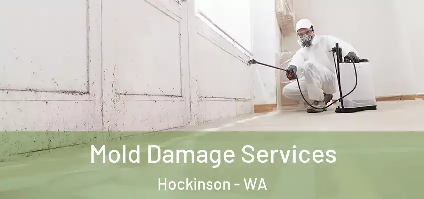  Mold Damage Services Hockinson - WA