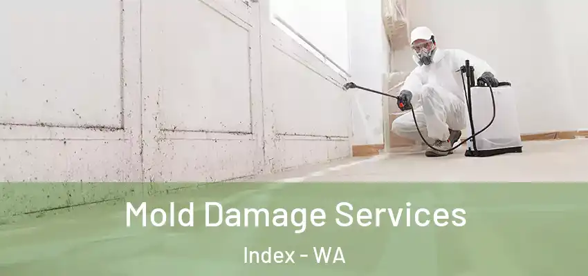  Mold Damage Services Index - WA