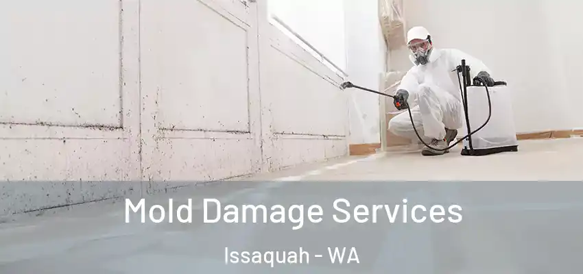  Mold Damage Services Issaquah - WA
