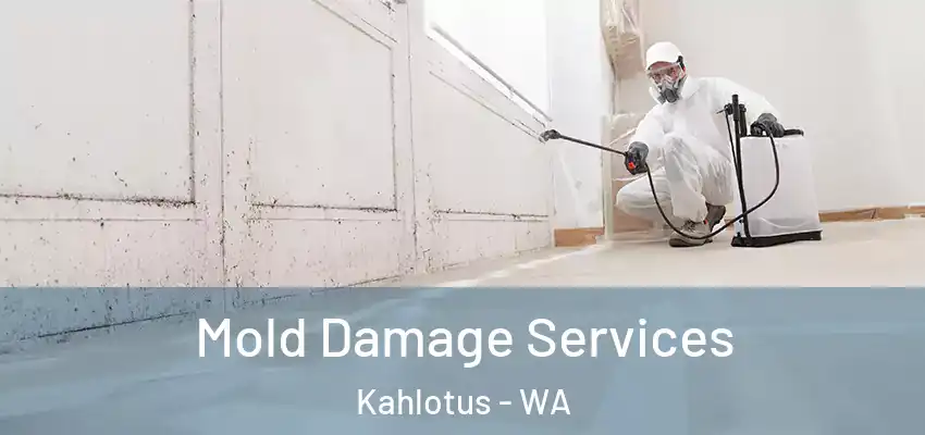 Mold Damage Services Kahlotus - WA