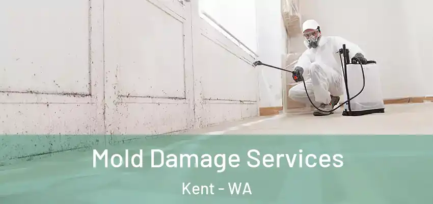  Mold Damage Services Kent - WA