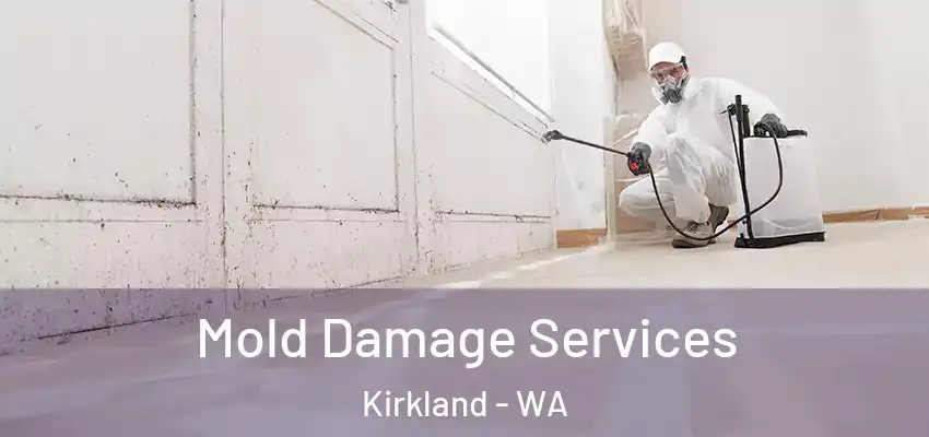  Mold Damage Services Kirkland - WA