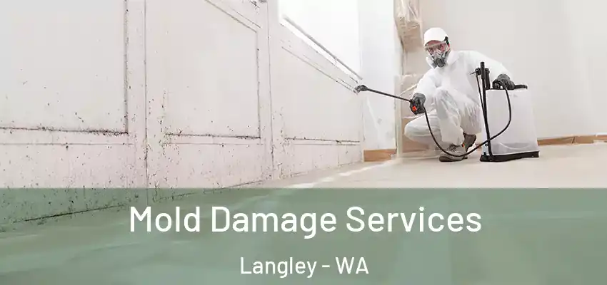  Mold Damage Services Langley - WA