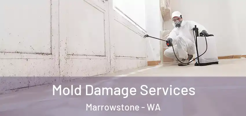  Mold Damage Services Marrowstone - WA
