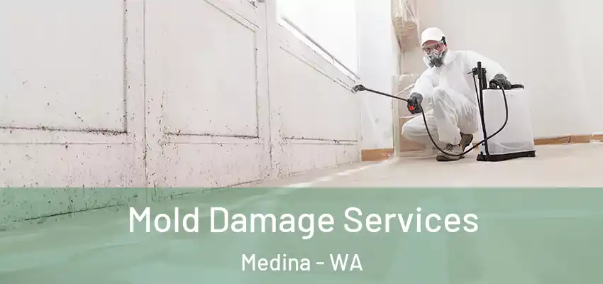  Mold Damage Services Medina - WA
