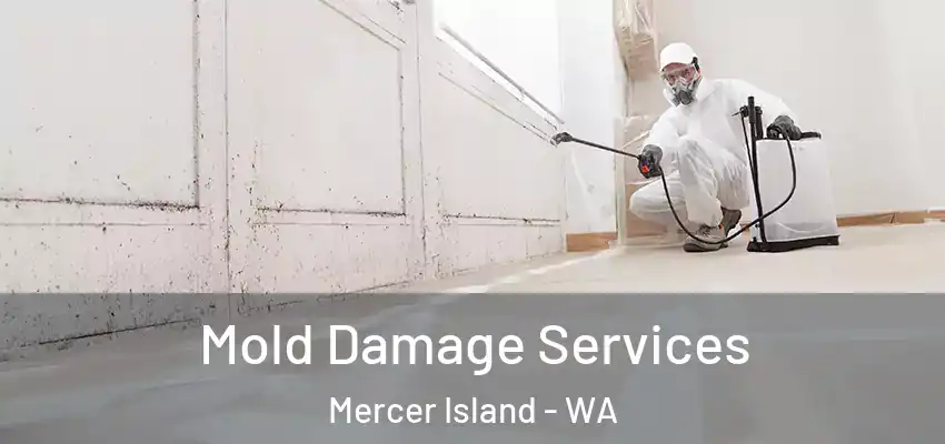  Mold Damage Services Mercer Island - WA