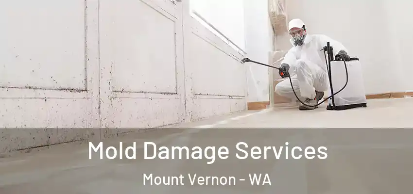  Mold Damage Services Mount Vernon - WA