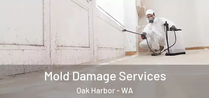  Mold Damage Services Oak Harbor - WA