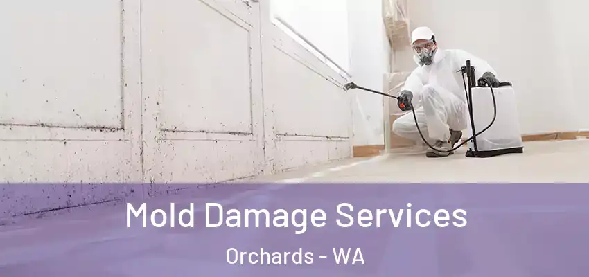  Mold Damage Services Orchards - WA