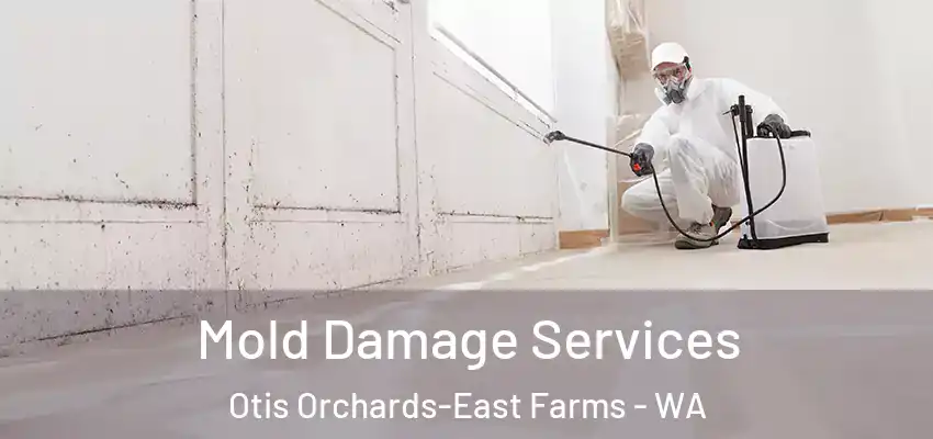 Mold Damage Services Otis Orchards-East Farms - WA