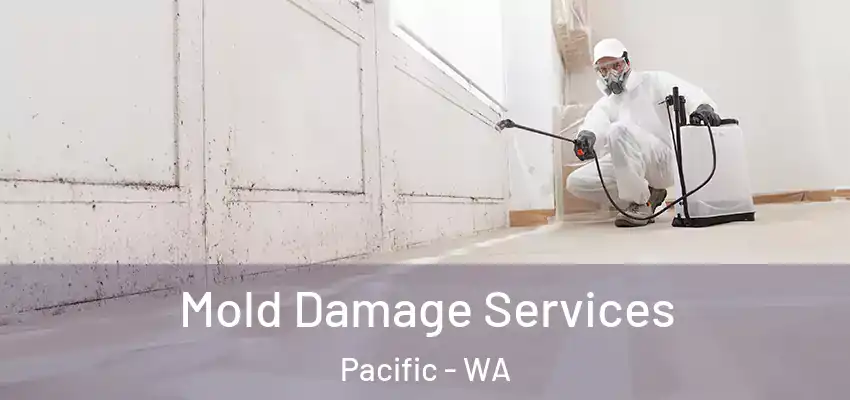  Mold Damage Services Pacific - WA