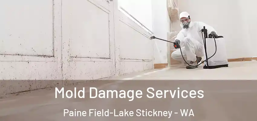  Mold Damage Services Paine Field-Lake Stickney - WA