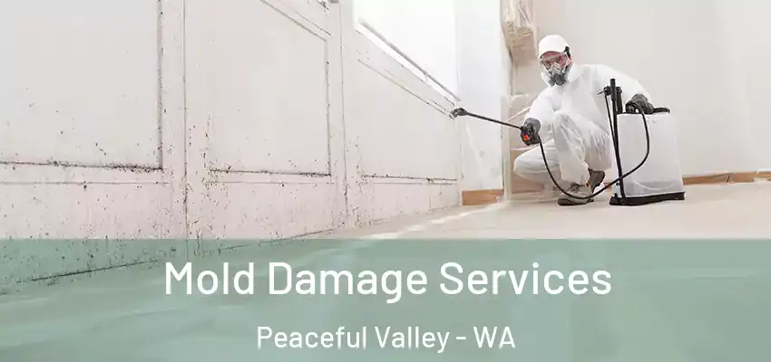  Mold Damage Services Peaceful Valley - WA