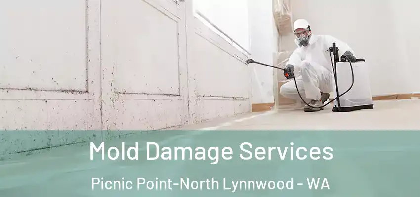  Mold Damage Services Picnic Point-North Lynnwood - WA