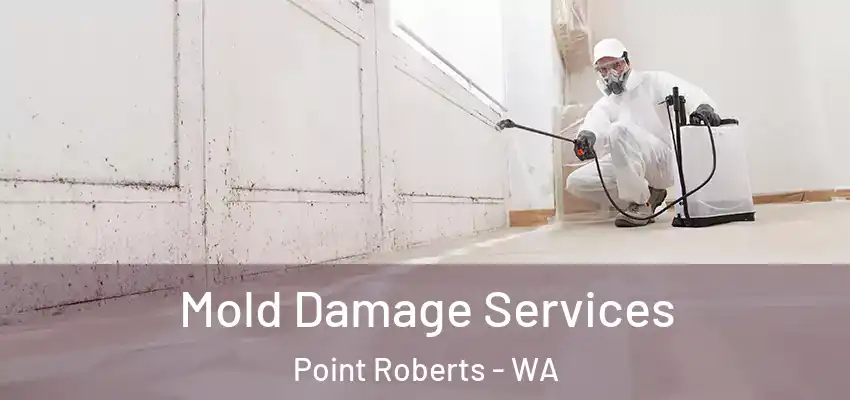Mold Damage Services Point Roberts - WA